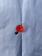 IMG_0950.jpeg