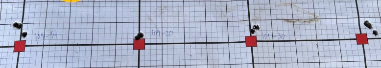 IMG_1224.jpeg