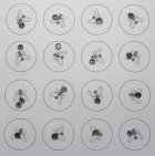 Bug Kill - 169 SMK's w-41.1 AR-Comp.JPG