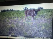 IMG_2608.jpeg