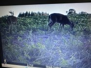 IMG_2611.jpeg
