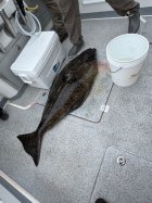IMG_4566.jpeg