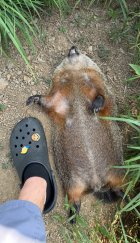 IMG_2899.jpeg