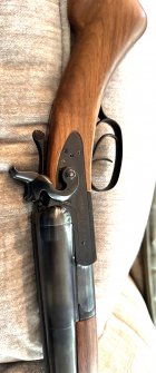IMG_3318.jpeg