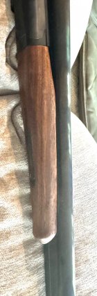 IMG_3317.jpeg