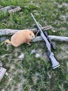 IMG_2725.jpeg