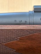IMG_9713.jpeg