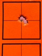 IMG_4142.jpeg