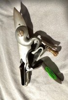IMG_3323.jpeg