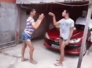 cat-fight.gif