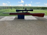 IMG_9953.jpeg