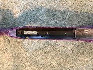 IMG_0516.JPG