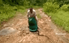 1754927406463.gif