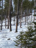 IMG_0434.jpeg