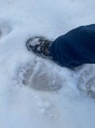 IMG_0571.jpeg