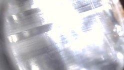 IMG_5177.jpeg