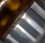 IMG_0244.jpeg