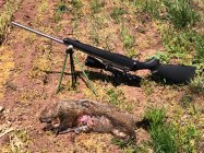IMG_9141.jpeg