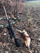 IMG_8773.jpeg