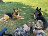 IMG_2627.jpeg