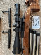 IMG_1342.JPEG