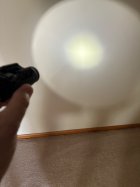 IMG_2982.jpeg
