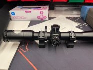 IMG_2599.jpeg