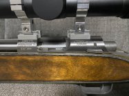 IMG_0927.jpeg