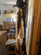 IMG_4343.jpeg