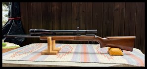 IMG_4507.jpeg