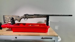 IMG_7664.jpg IMG_7664.jpg