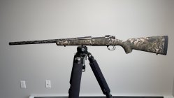 IMG_7760.jpg IMG_7760.jpg