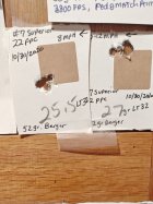 IMG_20250823_220050837.jpg