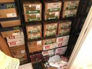 IMG_6387.jpeg