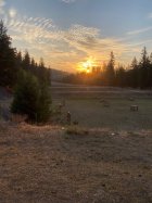 IMG_4350.jpeg IMG_4350.jpeg