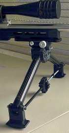 BiPod F.jpg