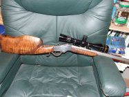 Stevens 218Bee.JPG