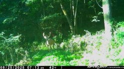 IMG_20250826_165616.jpg