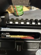 IMG_3840.jpeg