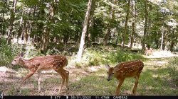 IMG_0002.JPG