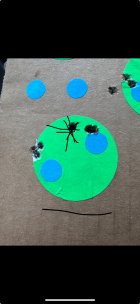 IMG_6816.jpeg