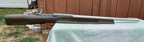 IMG_7699.jpeg