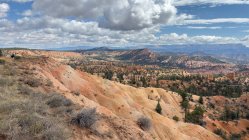 IMG_8459.jpeg