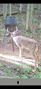 IMG_2412.jpeg