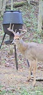 IMG_2413.jpeg