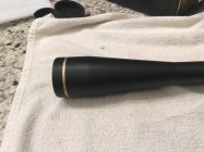 IMG_2137.jpeg