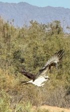 IMG_1683.jpeg