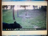 IMG_6221.jpeg