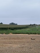 IMG_20250831_083019535.jpg