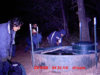 7BB1951A-8DB2-4E1A-92D6-620483FDD2A3-5454-0000067CA1F09302.jpeg